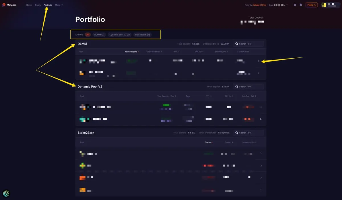 Meteora Portfolio tab showing DLMM, Dynamic Pool V2 and Stake2Earn positions with the filter chips highlighted
